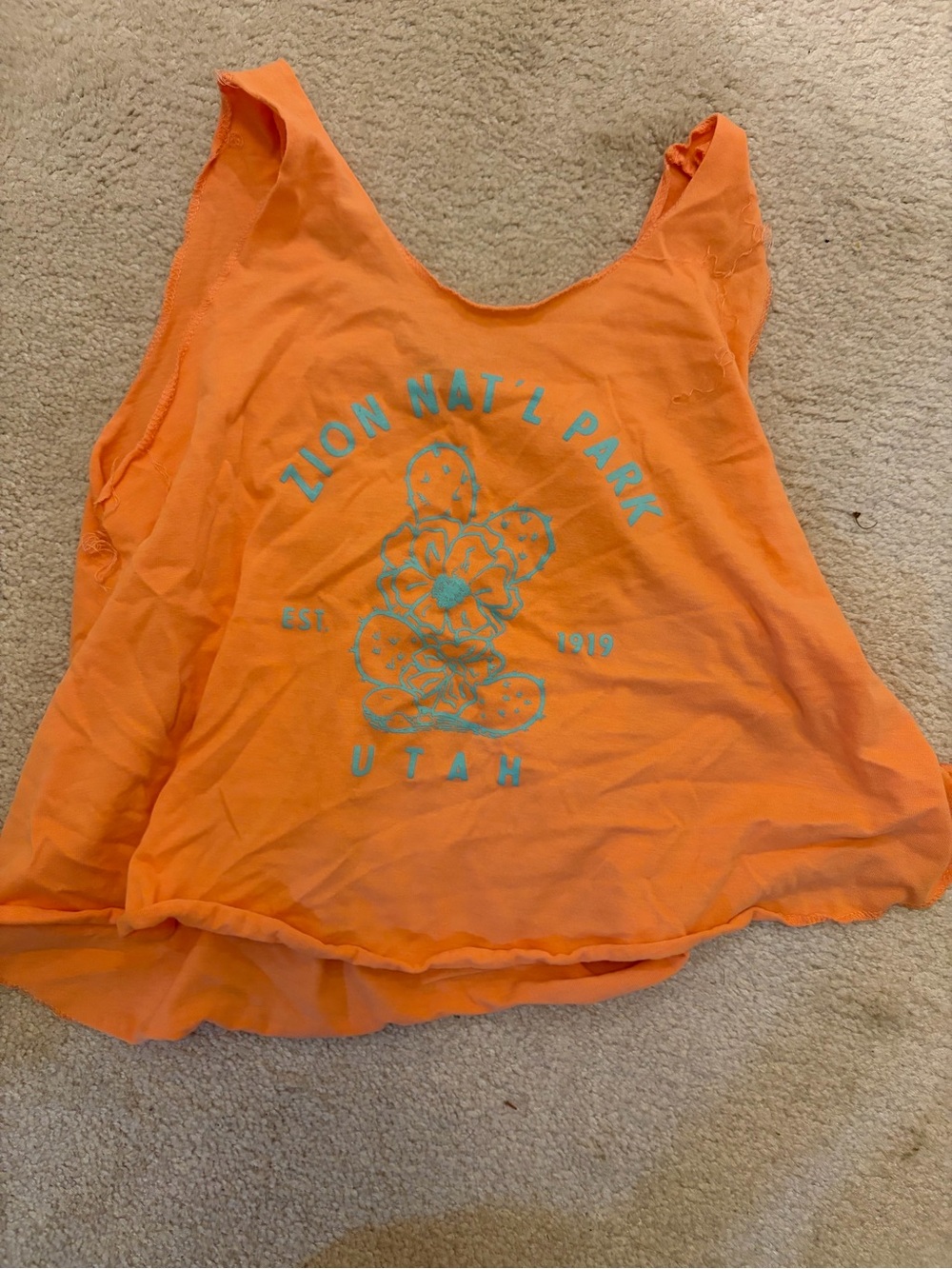 Orange Zion National Park Graphic Cropped Tank Top, Youth Large